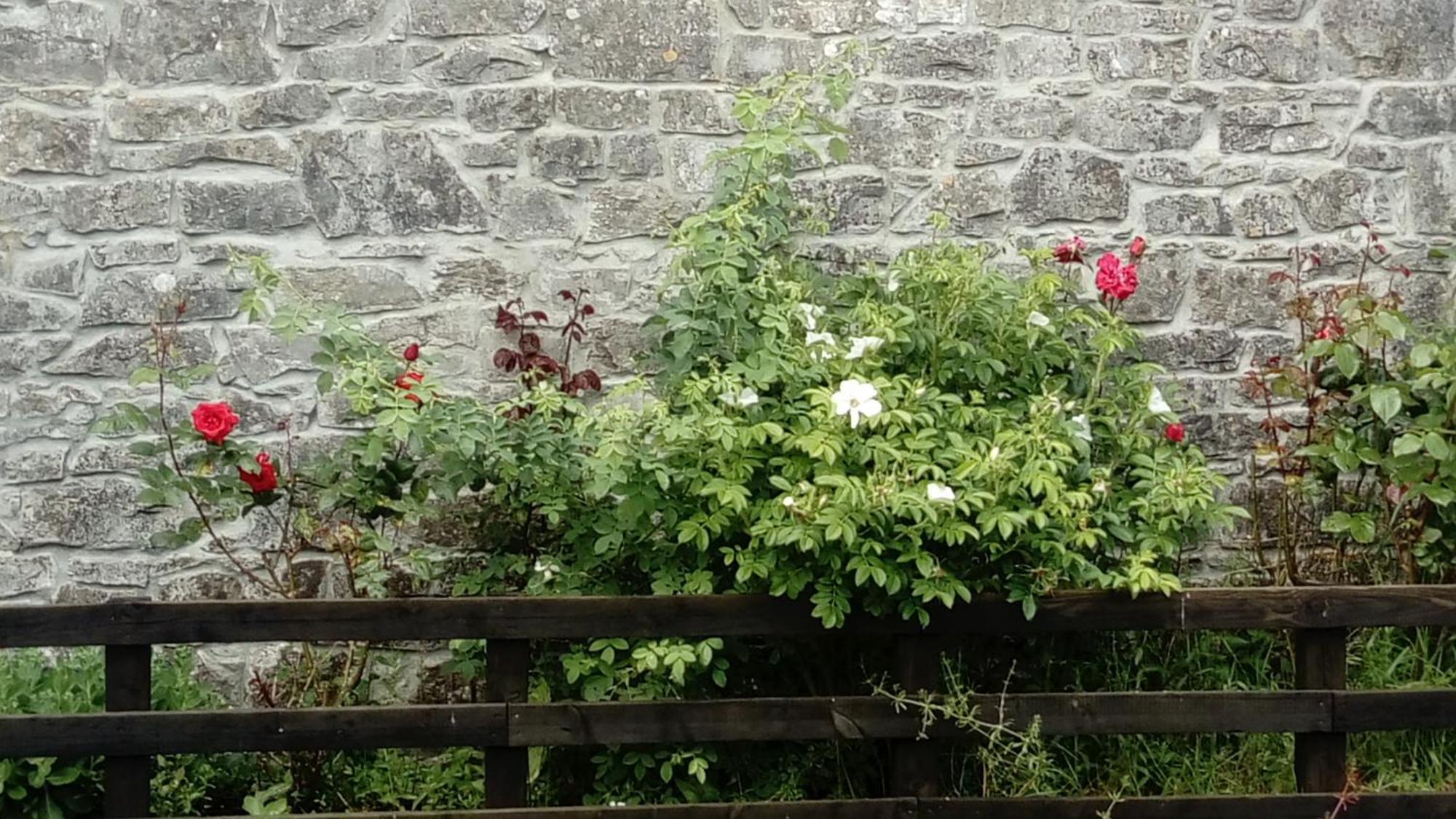 Augherea House Longford Exterior foto